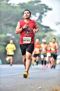 BIB: 26733
                            <button type="button" onclick="openModal(10128605)" class="btn btn-primary btn-sm float-right btn-popup" data-toggle="modal" data-target=".modal-high-quality">
                        <i class="fas fa-shopping-cart"></i> Add to Cart
                    </button>
                                            <button type="button" onclick="isThisMe(10128605, true)" class="btn btn-success btn-sm float-right btn-popup btn-isme hidden" data-toggle="tooltip" data-placement="bottom" title="นี่คือรูปของคุณใช่ไหม คลิกที่นี่เพื่อเอาเข้าอัลบั้ม">
                        <i class="fas fa-plus"></i> Add to album
                    </button>
                    <button type="button" onclick="isThisMe(10128605, false)" class="btn btn-warning btn-sm float-right btn-popup btn-isnotme hidden">
                        <i class="fas fa-ban"></i> Remove from album
                    </button>